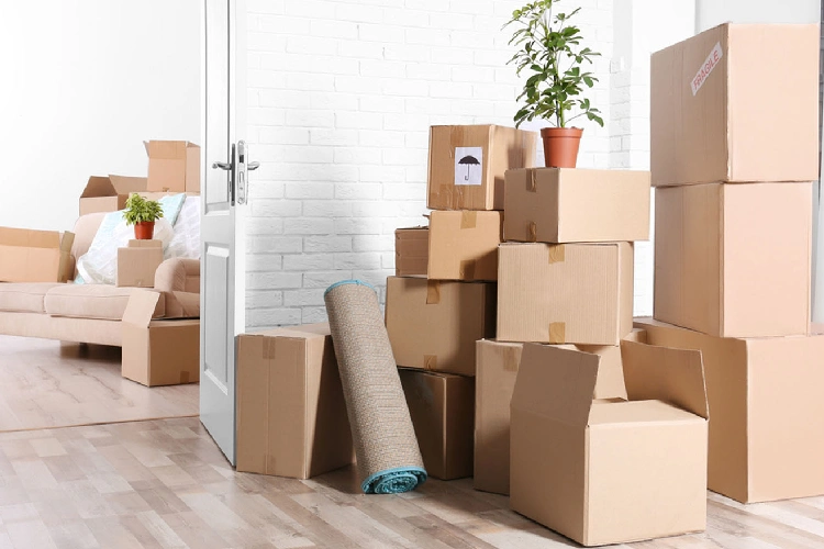 وسایلی که باید قبل از حمل اثاثیه منزل به استرالیا کاملاً تمیز و خشک شوند